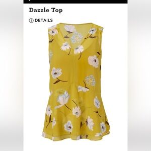 Cabi Dazzle top XL. Two piece with peplum hem